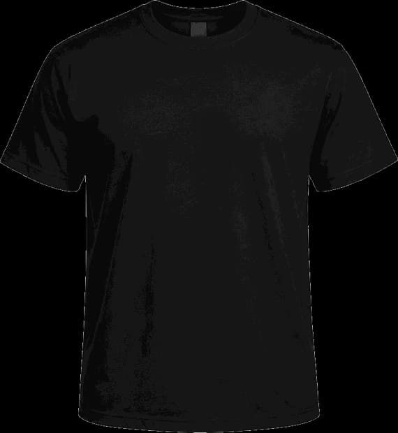 Black short sleeve t-shirt with the Nehemiah Project crest